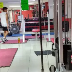 Gym & fitness gladiators