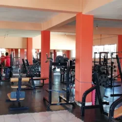 Tiggers gym