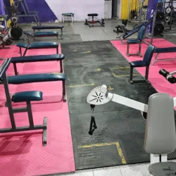 WOLF GYM
