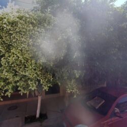 Lavandería RUBA