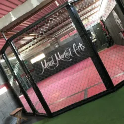 PRIMMATES CHETUMAL artes marciales mixtas