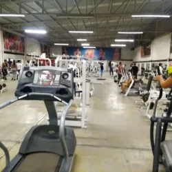 Sport Master Gym