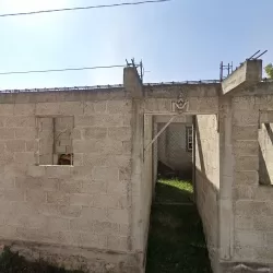 Barzazito jalacingo