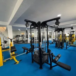 Alpha gym