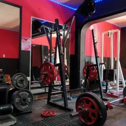 Toros Gym Damas