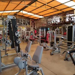 Gimnasio "Genesis"