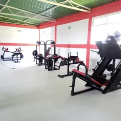 Leo Gym