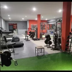 Scorpio-Gym