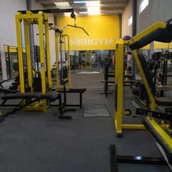 EvolFit