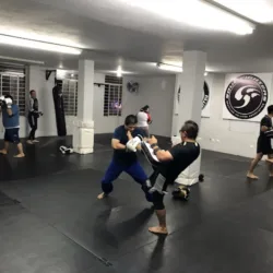 Rino Academy
