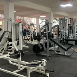 Dragon’s Gym