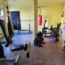 Thunder Gym