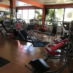 Y Vive Gym