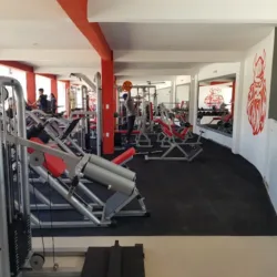 Vikings Elite Gym
