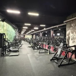 World Gym Playa del Carmen