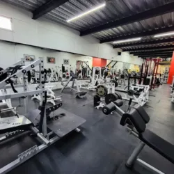 FLEX GYM