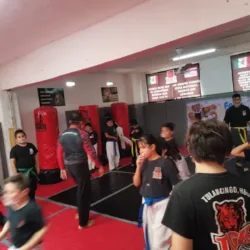 Tiger MMA Tulancingo