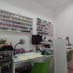 Planchado express irapuato