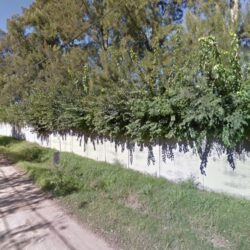 San Martín de Porres - Pilar