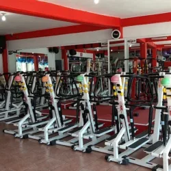 Body Factory