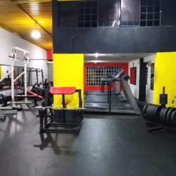 Elite Gym