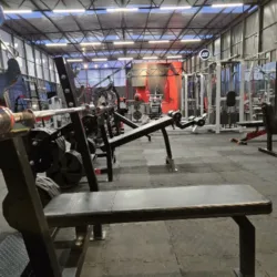 Insane Gym Oaxaca
