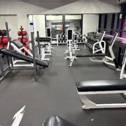 Ferminator GYM