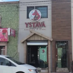 YSTAVA