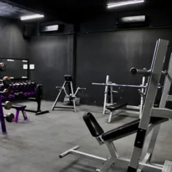 Lionfit Olímpica