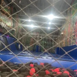 Smart Trampoline