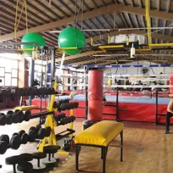 UMA Club de Box
