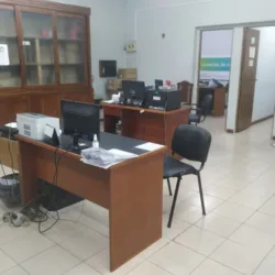 Transito Y Licencia De Conducir