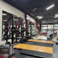 UFC X GYM