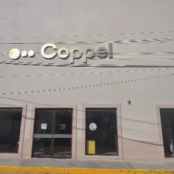 Coppel Carlos Bustamante