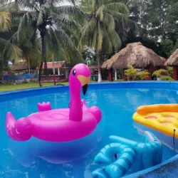 El Palmar