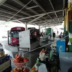 Mercadito De Tecoman