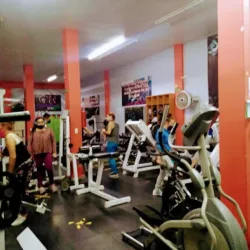 Muscle Fit Gym