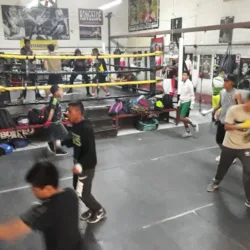 As del Boxeo
