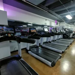 Anytime Fitness Punto Escobedo León