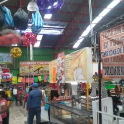 Mercado Municipal Tepeji del Rio