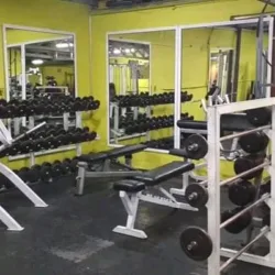 GYM Warriors