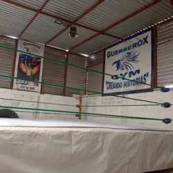 Gym Guerrerox