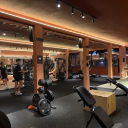 Skills Performance Gym