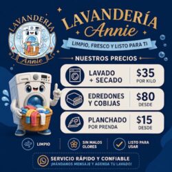 Lavandería Annie