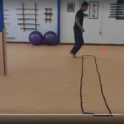 Satori Centro de Entrenamiento