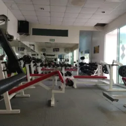 ADRIAN'S GYM
