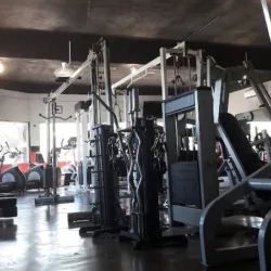 Paul's Gym