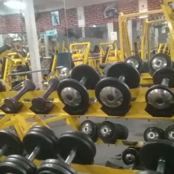 Bleu Gym