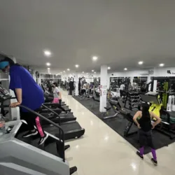 A1 Gym