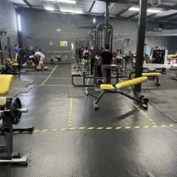 KameHouse Gym